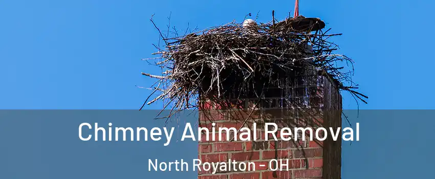 Chimney Animal Removal North Royalton - OH