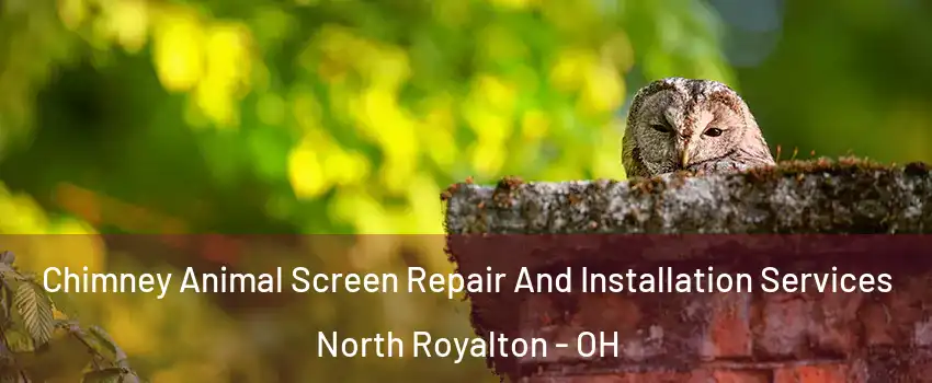  Chimney Animal Screen Repair And Installation Services North Royalton - OH