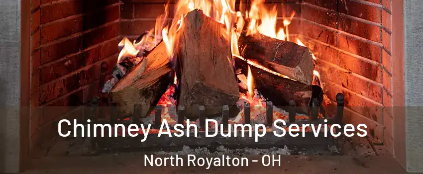  Chimney Ash Dump Services North Royalton - OH