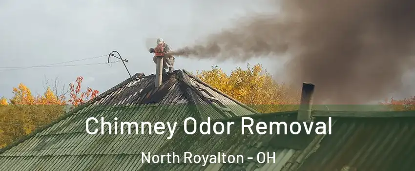  Chimney Odor Removal North Royalton - OH