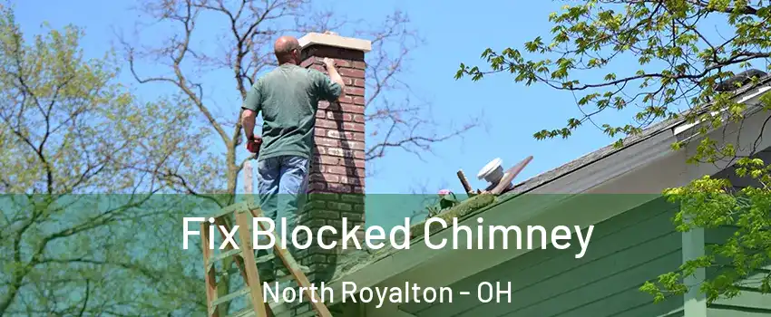  Fix Blocked Chimney North Royalton - OH