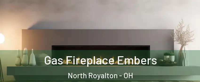  Gas Fireplace Embers North Royalton - OH