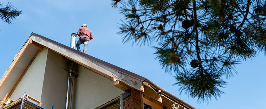Birds Removal Contractors from Chimney in North Royalton, OH