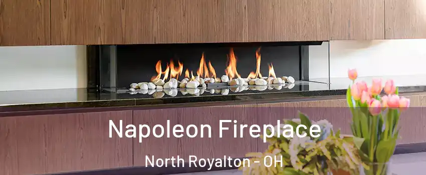  Napoleon Fireplace North Royalton - OH